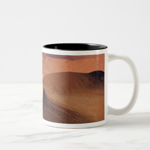 Namibia Sossuvlei Dunes Aerial scenic Two_Tone Coffee Mug