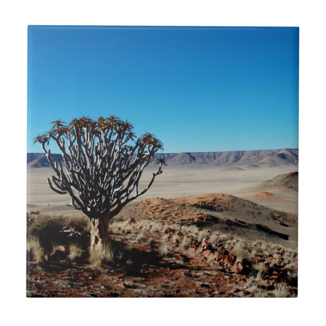 Namibia Tirool Namib Desert Landscape Kokerboom Ceramic Tile (Front)