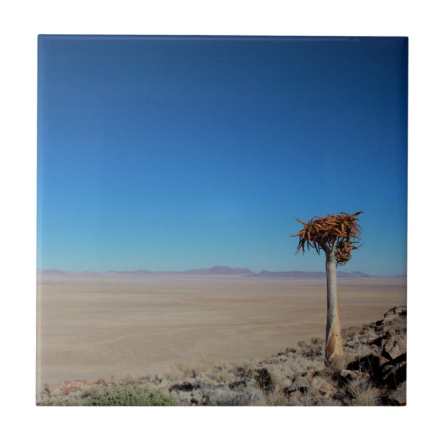Namibia Tirool Namib Desert Landscape Kokerboom Ceramic Tile (Front)