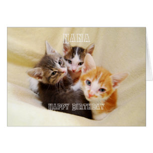 Nana, Warm and Fuzzy Kitten Trio Happy Birthday Cards