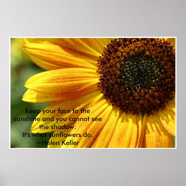 Nancys_sunflower Poster (Front)