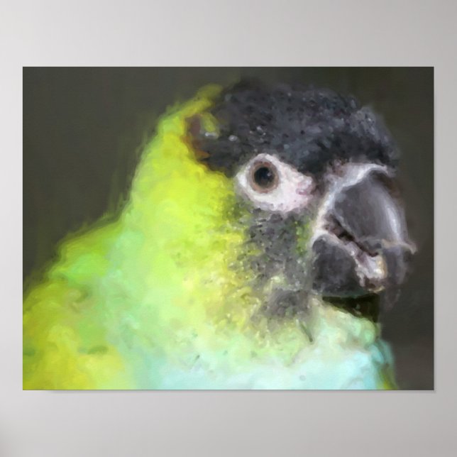 Nanday Conure Parrot Photo Painting  Poster (Front)
