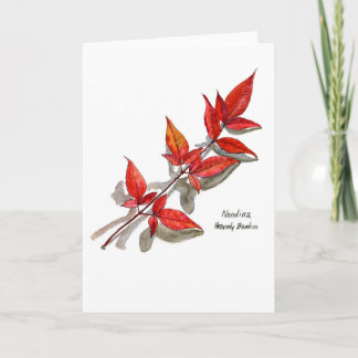 Nandina or Heavenly Bamboo Card