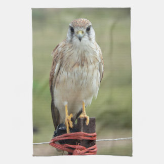 Nankeen Kestrel Kitchen Towel