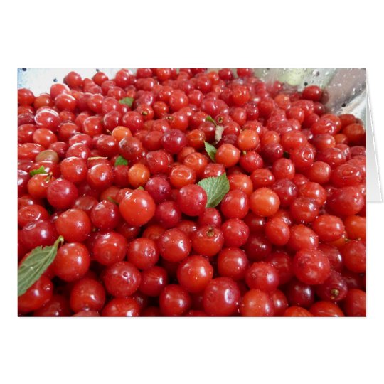 Nanking Cherries Card