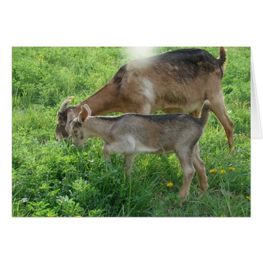 Nanny and Kid Cards (Front Horizontal)