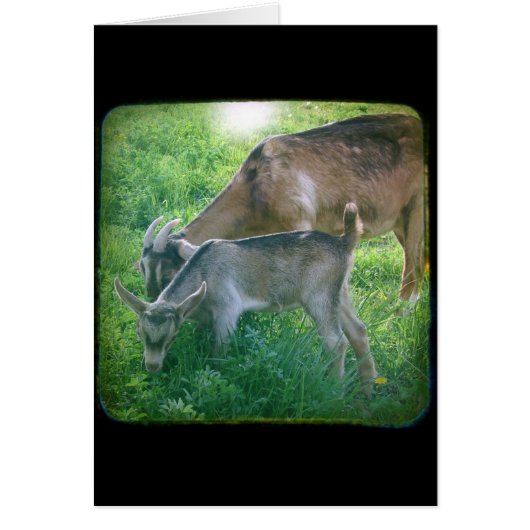 Nanny and KId Cards (Front)