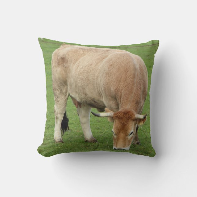 Nantaise cow in a field throw pillow (Front)