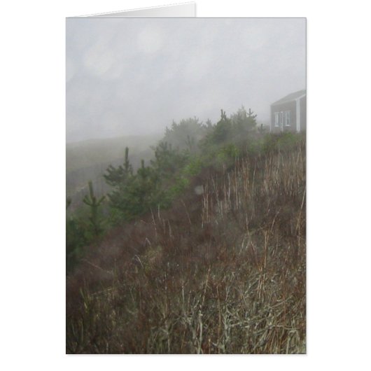 Nantucket Fog Cards (Front)