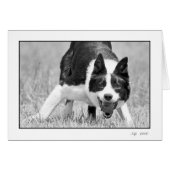 Nap (Front Horizontal)