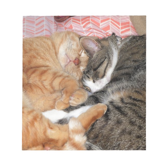 Nap Buddies Notepad (Front)