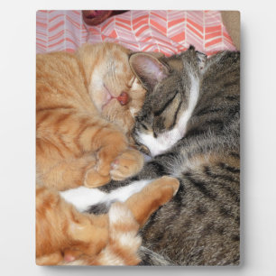 Nap Buddies Plaque
