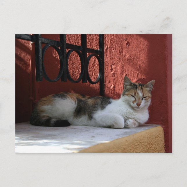 Nap II Postcard (Front)