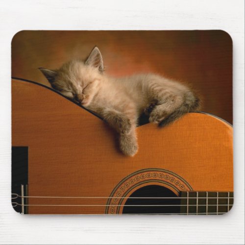 Nap of the kitten on guitar mouse pad