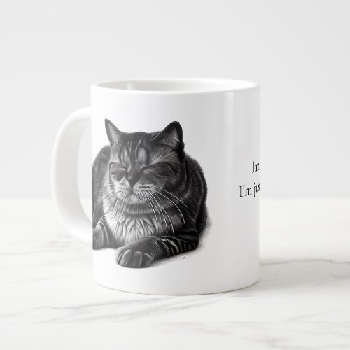Nap Schedule Funny Quote Grumpy Cat Giant Coffee Mug