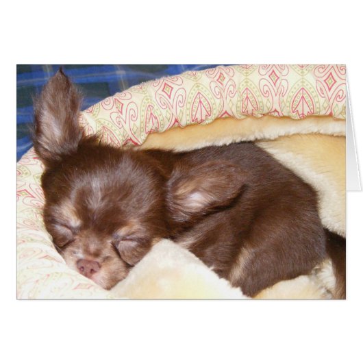 Nap Time - blank inside Cards (Front Horizontal)