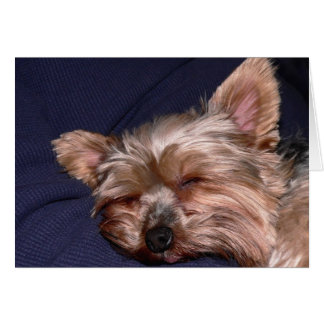 Nap Time Cards