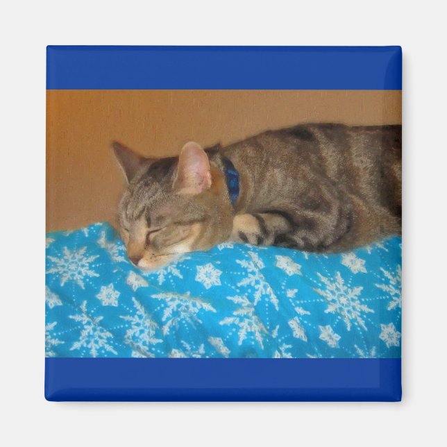 Nap Time For Indigo Magnet (Front)