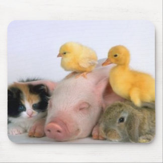 Nap Time for the Animals Mouse Pad