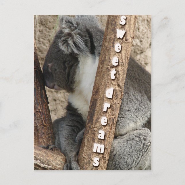 Nap time postcard (Front)