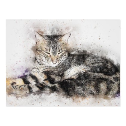 Nap Time Tabby | Abstract | Watercolor Postcard