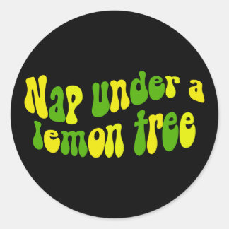 Nap under a lemon tree classic round sticker