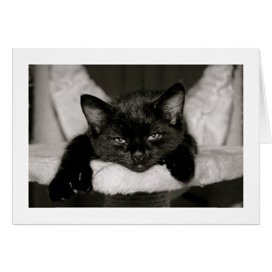 Nap With Me (Front Horizontal)