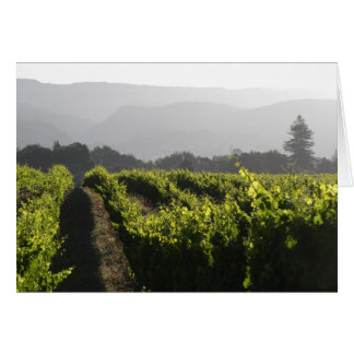 Napa morning fog cards