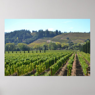 Napa Sonoma Valley Wine Country Poster