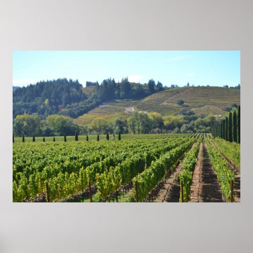 Napa Sonoma Valley Wine Country Poster
