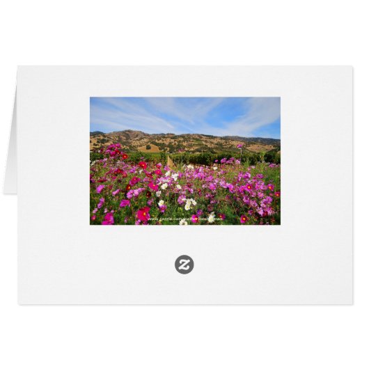 Napa Valley California Vineyard (Back Horizontal)