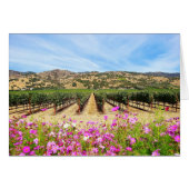Napa Valley California Vineyard (Front Horizontal)
