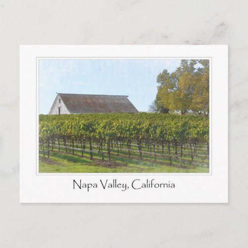 Napa Valley California Vineyard and Barn Postcard