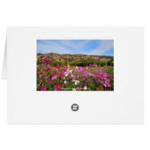 Napa Valley California Vineyard Cards (Back Horizontal)