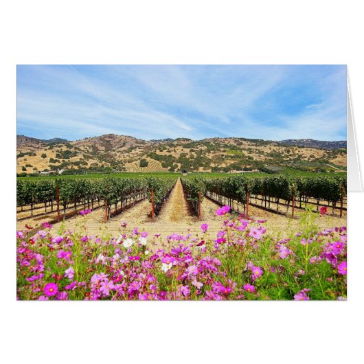 Napa Valley California Vineyard Cards (Front Horizontal)