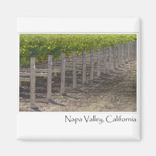 Napa Valley California Vineyard Magnet