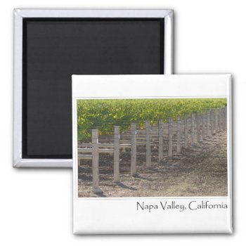 Napa Valley California Vineyard Magnet by bbourdages at Zazzle
