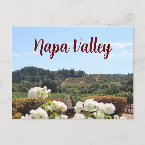Napa Valley California vineyards and flowers Postcard