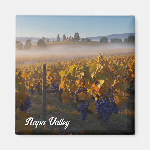 Napa Valley California Vinyard Winery Magnet