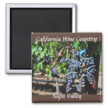 Napa Valley  California Wine Country Magnet at Zazzle
