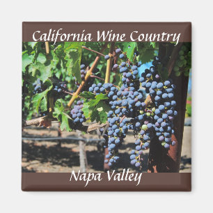 Napa Valley California Wine Country Magnet