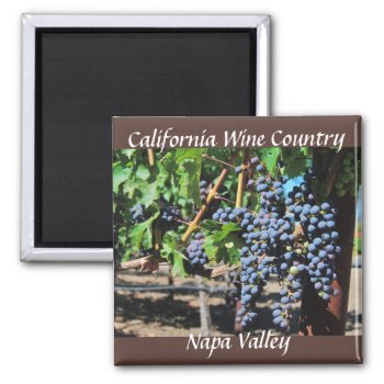 Napa Valley  California Wine Country Magnet by Rebecca_Reeder at Zazzle