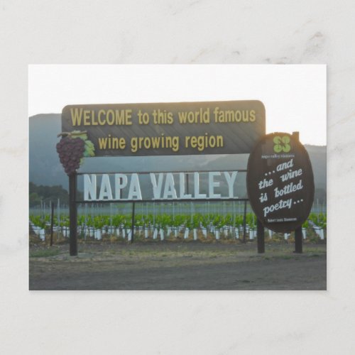 Napa Valley California Wine Country Postcard