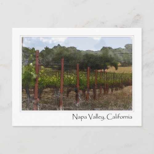 Napa Valley California Wine Vineyard Postcard