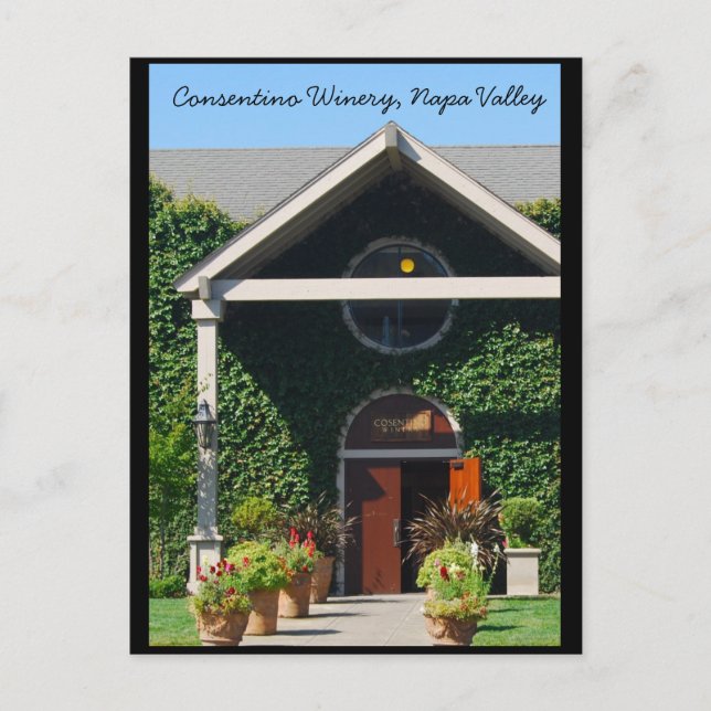 Napa Valley California Winery Postcard (Front)