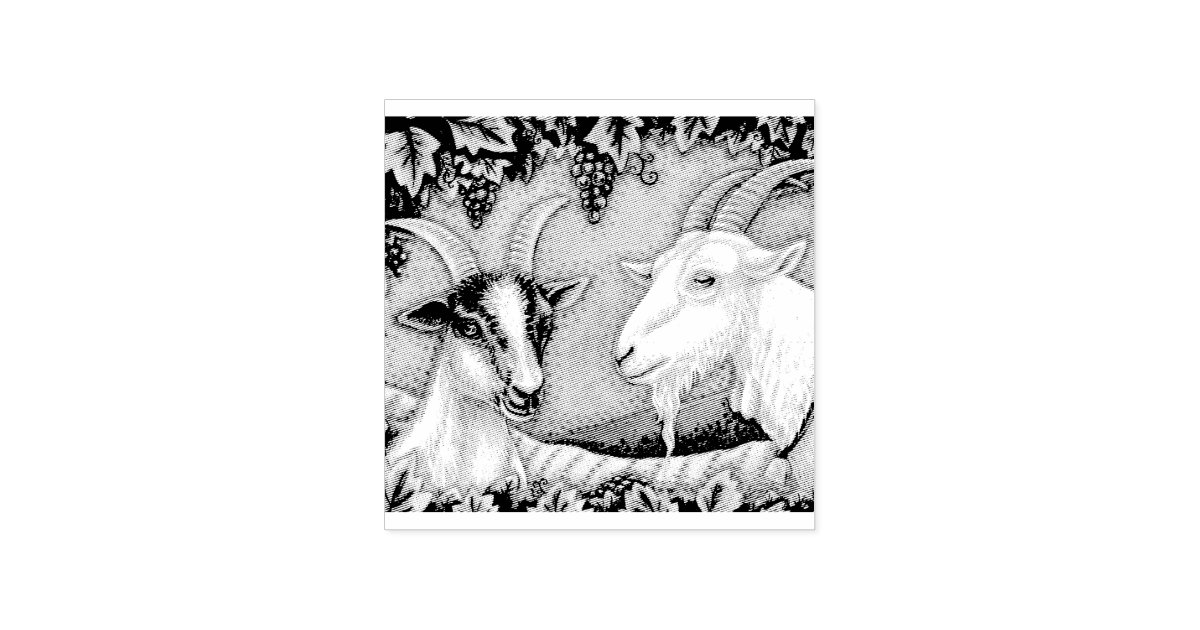 NAPA VALLEY KID & BILLY GOAT RUBBER STAMP *Custom | Zazzle.com