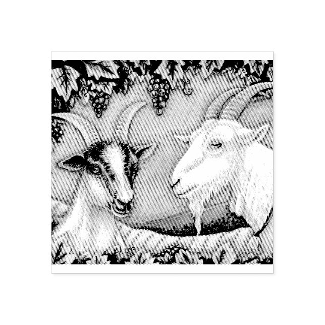 NAPA VALLEY KID & BILLY GOAT RUBBER STAMP *Custom (Imprint)