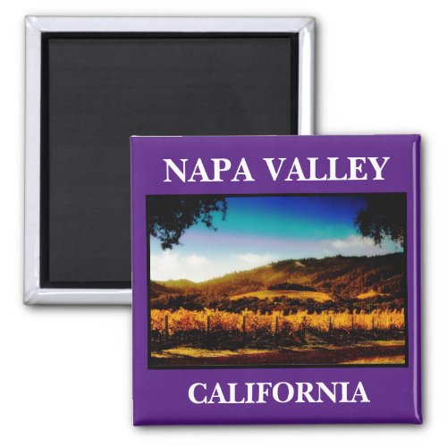 Napa Valley Pictueresque Kitchen Magnet