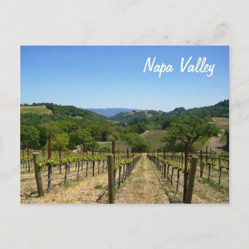 Napa Valley Postcard