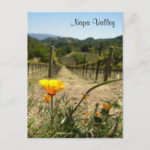 Napa Valley Spring Postcard